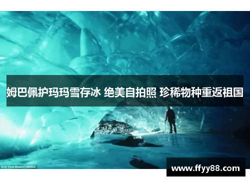 姆巴佩护玛玛雪存冰 绝美自拍照 珍稀物种重返祖国